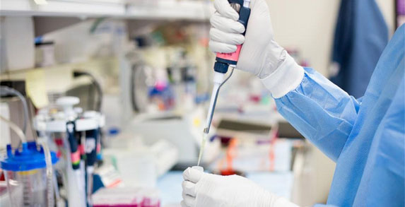 草莓污视频免费下载環境草莓视频成人APP下载技術(上海)有限公司