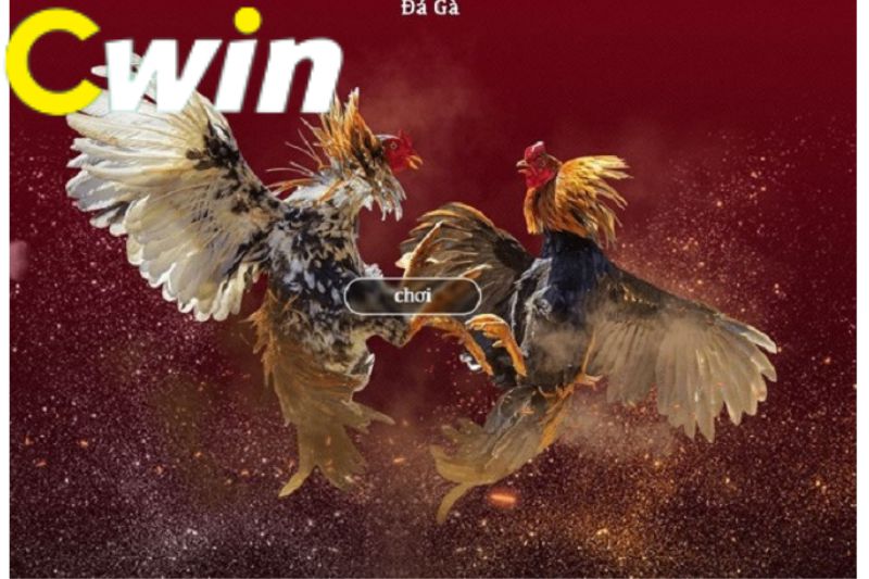 Mỗi ngày đều có những ưu đãi khuyến mãi hấp dẫn dành cho bạn! - Five88