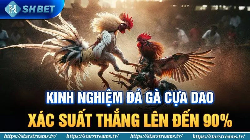 Đăng ký tài khoản Loto288 và nhận ngay khoản tiền thưởng 50000 đô la - Loto288