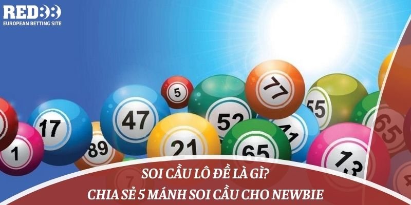 89Bet cung cấp dịch vụ hỗ trợ khách hàng mọi lúc, mọi nơi - 89Bet