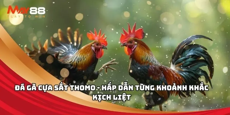 Quy trình đăng ký tài khoản Ee88 - Ee88