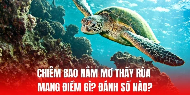 Tôi có thể nhận 100000 đô la từ C168 nhiều lần không? - C168