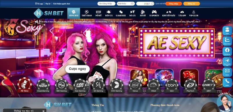 Các nhà phát triển game hàng đầu (Hcm66) luôn cung cấp một thư viện game khổng lồ - Hcm66