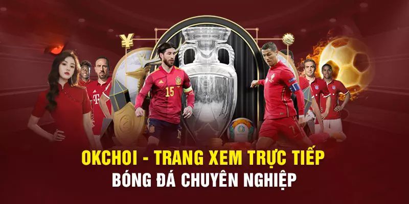 Tổng quan về trang web xếp hạng Vf555 - Vf555