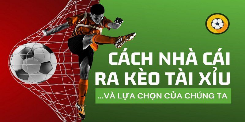 Tại sao nên chọn 33King làm địa điểm cá cược của bạn? - 33King
