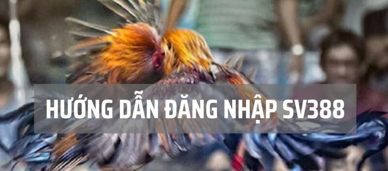 Hé lộ bí quyết đạt tỷ lệ thắng 100% trong trò chơi Baccarat hạng D9bet - D9bet