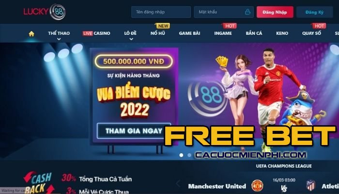 Hướng dẫn tham gia cá cược vui vẻ Rikvip - Rikvip