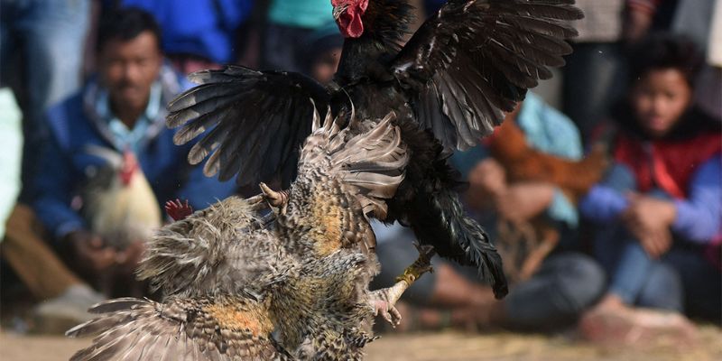 Lý do nên chọn Helo88 làm điểm đến giải trí của bạn - Helo88