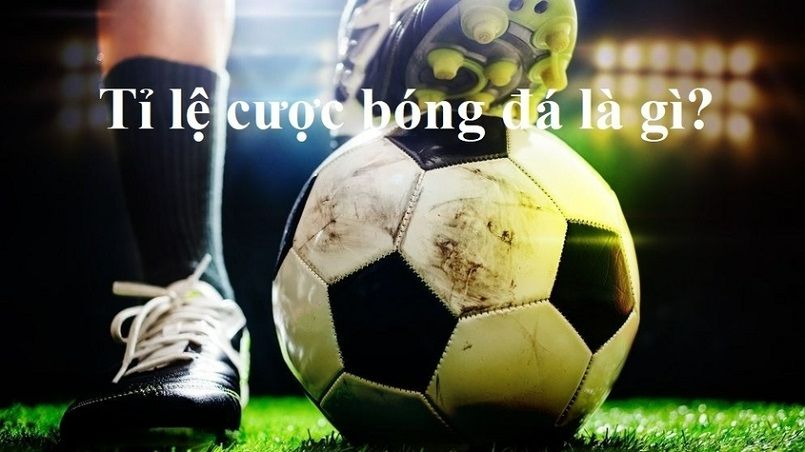 Phần thưởng miễn phí Vaobo88 - Vaobo88