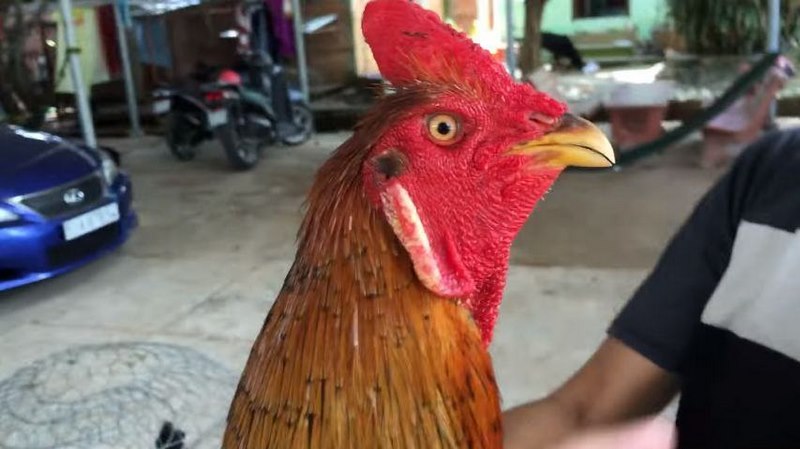 Tại sao bạn muốn đăng ký tài khoản Iwin? - Iwin