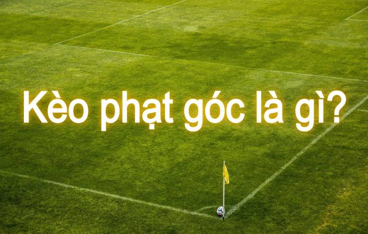 Các máy đánh bạc trực tuyến được xếp hạng Me88 có những đặc điểm gì? - Me88