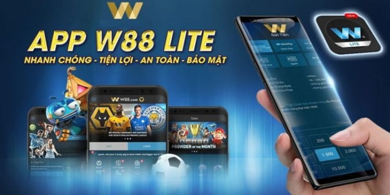 Quá trình phát triển và thiết lập một nền tảng trò chơi trực tuyến cấp độ Shbet - Shbet